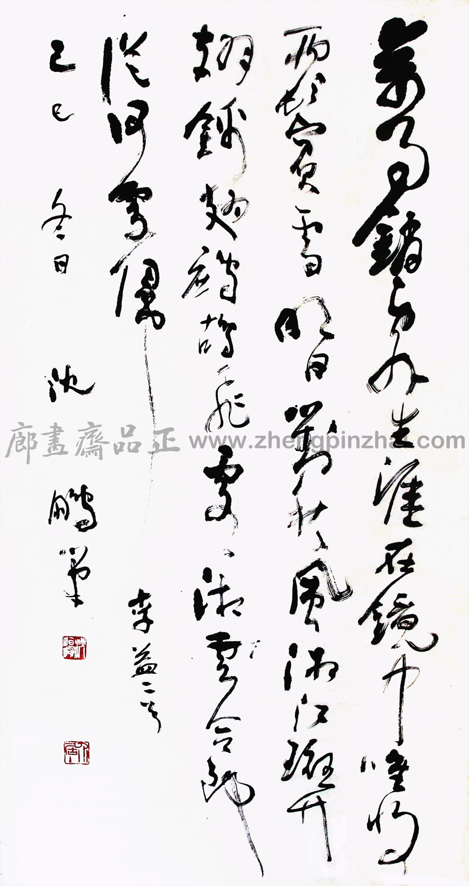 -鷨5